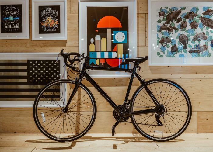 bicycle-art